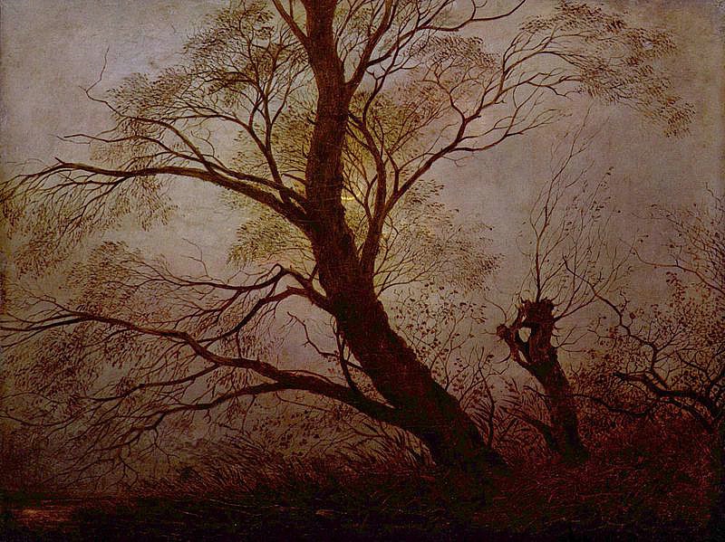 Caspar David Friedrich: Stromy v záři měsíce