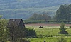 Markvartice horse farm