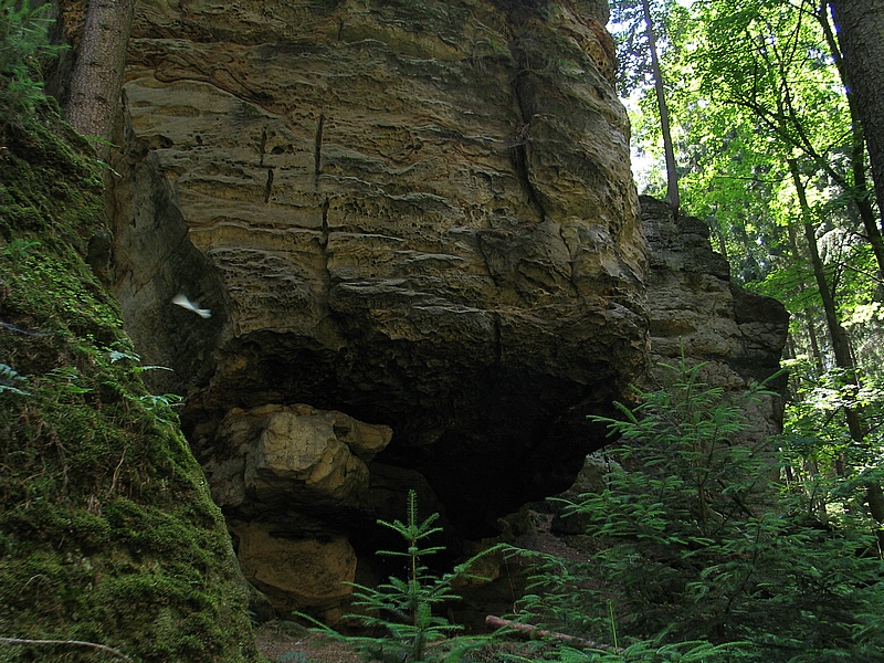 Býčí jeskyně