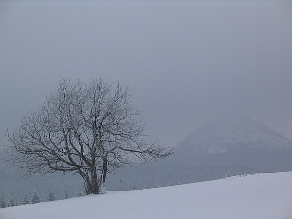 Polevský vrch (626 m) - pohled na horu Klíč