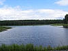 Big Forest Lake