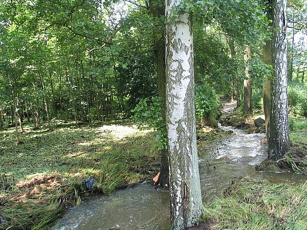 povodn - ka Bystr nad Kerharticemi 